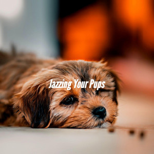 Jazzing Your Pups album