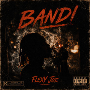 BANDi by Flexy Joe