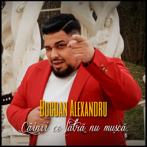 Bogdan Alexandru - Câinii ce latră nu mușcă