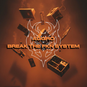 BREAK THE FKN SYSTEM by AGGRO