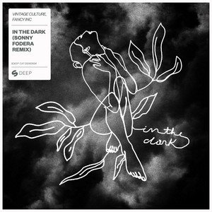 In The Dark - Sonny Fodera Extended Remix by Fancy Inc cover art