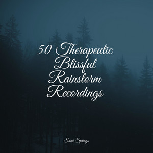 50 Therapeutic Blissful Rainstorm Recordings album