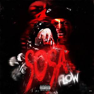 Portada de Sosa Flow