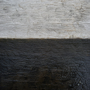 Mudline by Fen