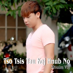 Ntsaim Vaj - Tso Tsis Tau Koj Hnub No