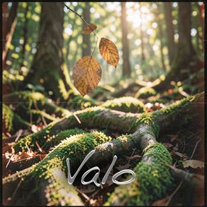 Connexion by Valo