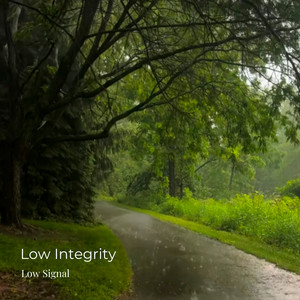 Low Integrity by Low Signal