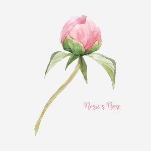 Rosie's Rose by Naomi Nora