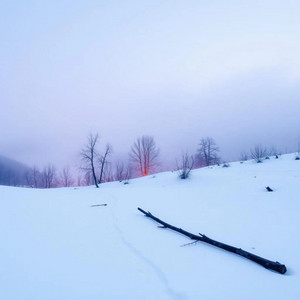 Carved Stick by TERRENCE TOP