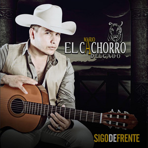 Teniente Zambada cover