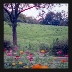 walk by the park. by chasing clouds.