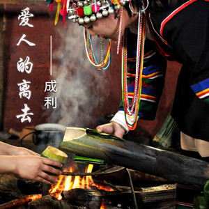 成利 - 爱人的离去