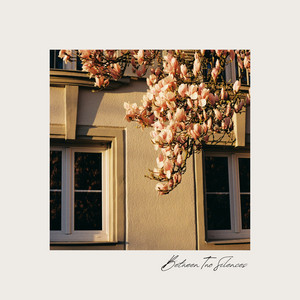 Between Two Silences by Orion's Passage