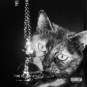 vvw by 4everjit