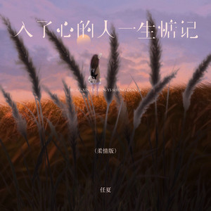 入了心的人一生惦记 - 柔情版 by 庞豪阳