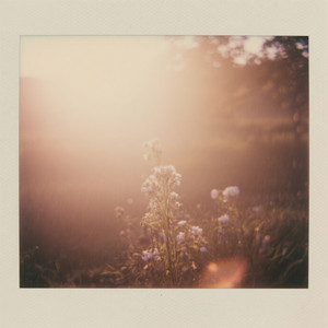 Love Faded Warm by PROSPER REYNOL SAS