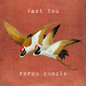 Want You by Rsrch Chmcls