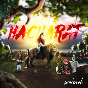 Sari Cool - Hacharat