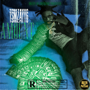 Portada de Amount