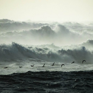 Sea Storm