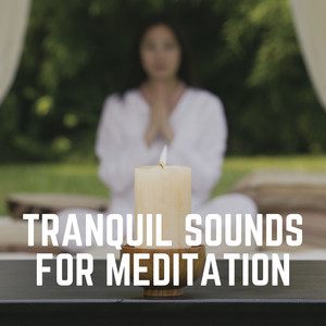 Tranquil Sounds for Meditation album