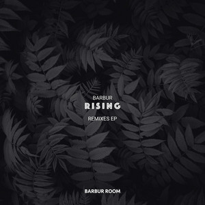 Rising - Paul Conrad Remix by Barbur, Paul Conrad