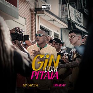 Gin Com Pitaia