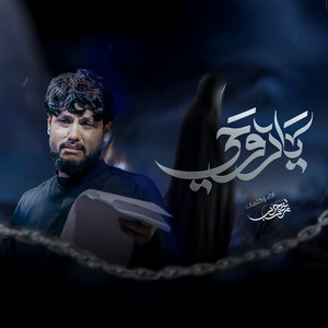مرتضى حرب - يا روحي