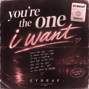you're the one i want by EYBRAP
