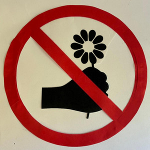 Don't Promise Me Flowers by Sal's Songbook