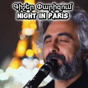 Ornaments Guru - Night In Paris