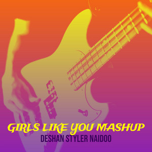 Deshan Styler Naidoo - Girls Like You Mashup