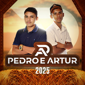 Bater no Piauí - Cover