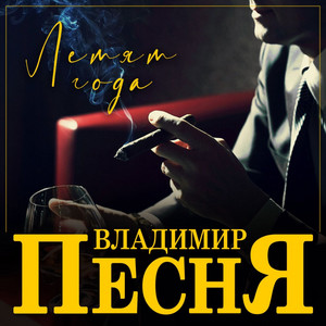 Владимир Песня — Летят года