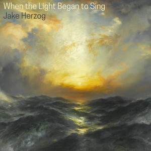 When the Light Began to Sing by Jake Herzog