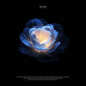 Vision - Extended by SEVER