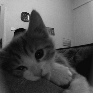 Nguyễn Trọng Phúc - 50k Nhạc Lộn Xộn