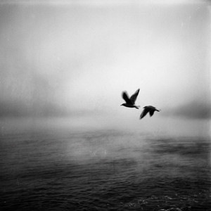 Two of a Kind by Chevalier