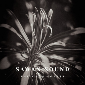 The Calm Forest by Sawan Sound