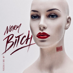 کاور آهنگ NORM BITCH از پارشا