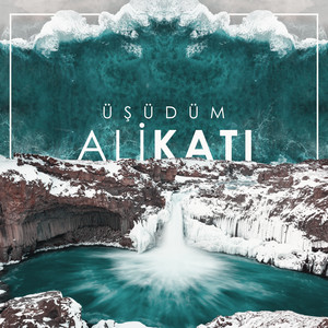 Üşüdüm by Ali Katı
