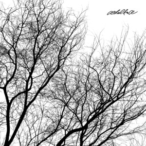 Branches by ædeltræ