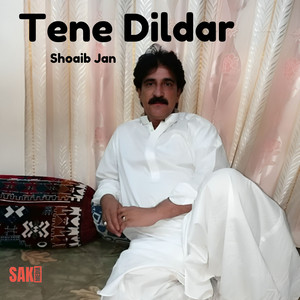 Shoaib Jan - Tena Sekha