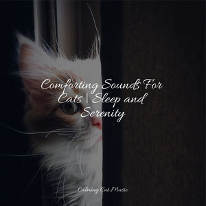 Comforting Sounds For Cats | Sleep and Serenity album
