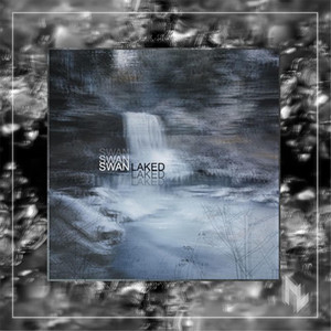 Pretty Bruce - Swan Laked