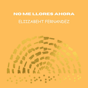 No Me Llores Ahora by Elizabeth Fernandez