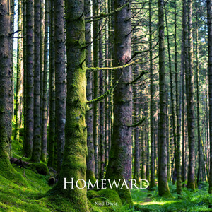 Homeward by Niall Doyle