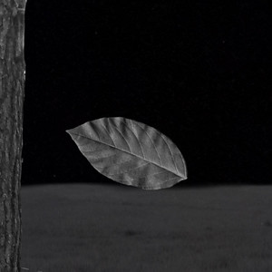 PRINTEMPS by skult