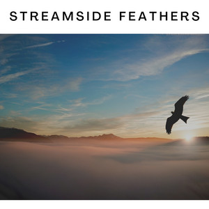 Rain Sound and Sea Birds by Sunday Birds