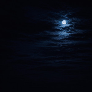 moonlight before departure by nenne